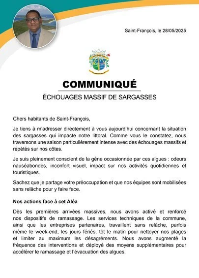 Échouages massifs de sargasses