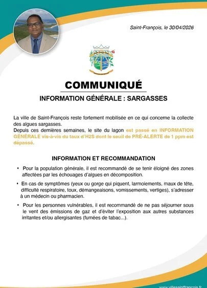 Information générale : sargasses