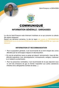 Information générale : sargasses