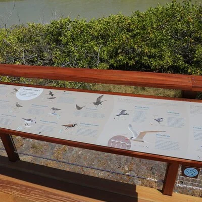 Photo 1 - Inauguration - Plateforme d'observation - Petite Saline Sud